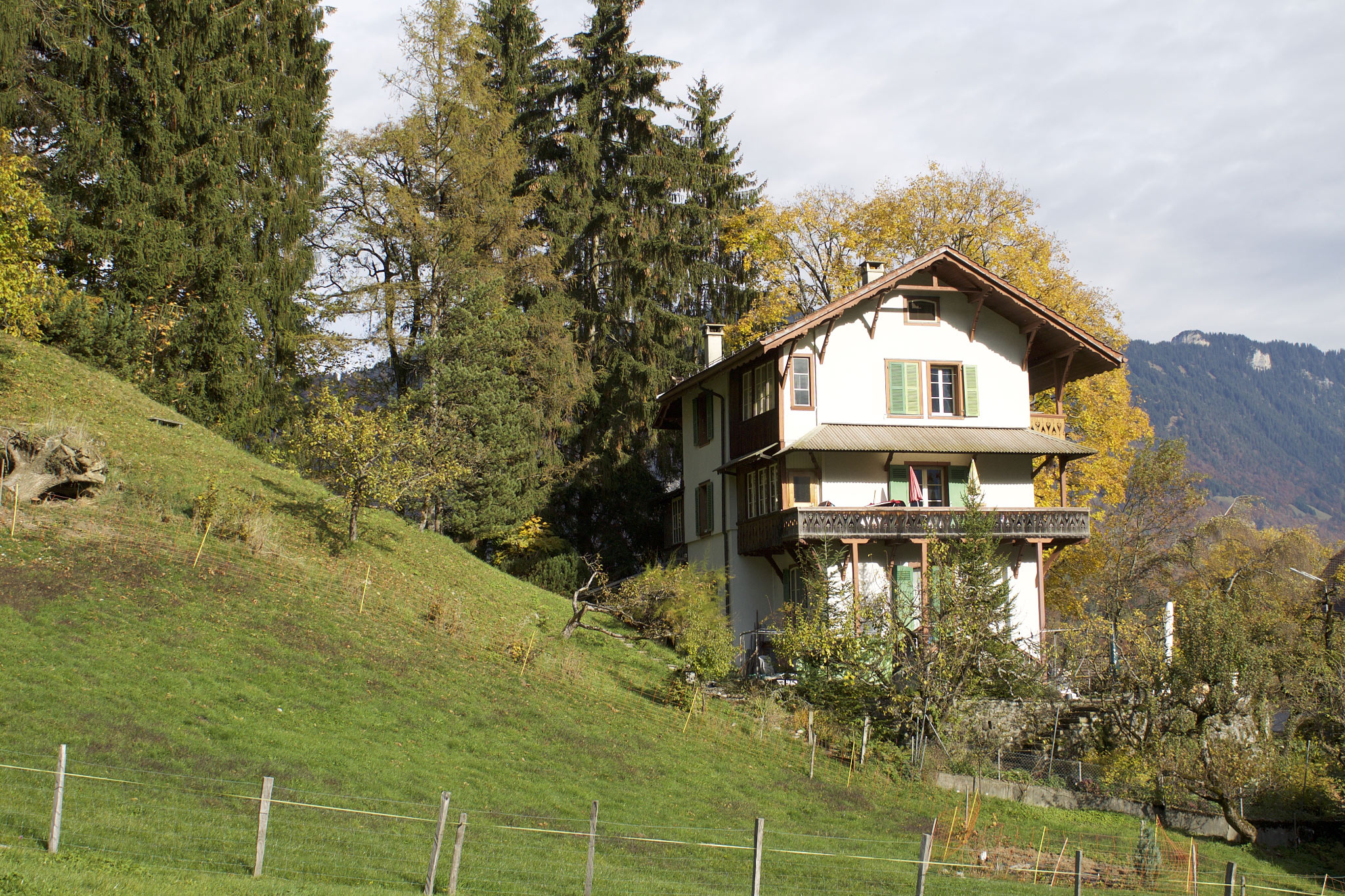 Wilderswil